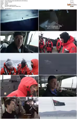 Whale Wars S02 1080p WEB-DL AAC2.0 AVC-TrollHD