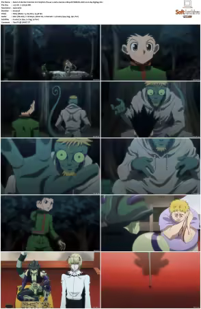 Hunter x Hunter 2011 S01-S06 1080p NF WEB-DL AAC2.0 H264-ZigZag
