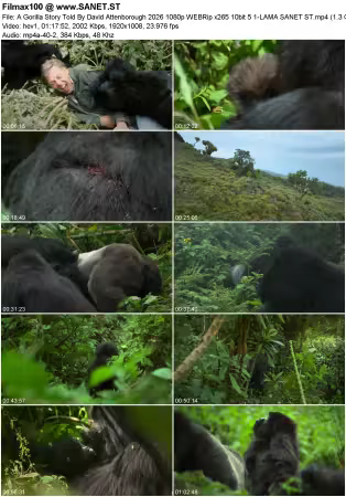A Gorilla Story Told By David Attenborough 2026 1080p WEBRip x265 10bit 5.1-LAMA
