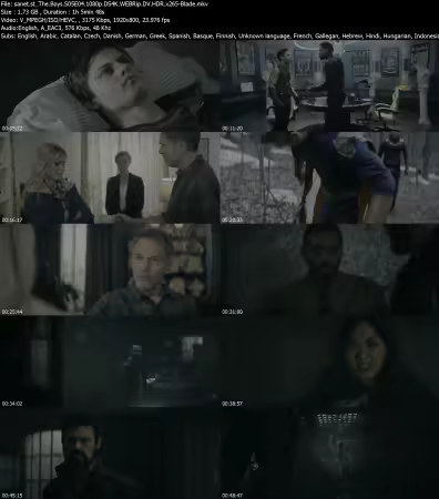 The Boys S05E04 1080p DS4K WEBRip DV HDR x265-Blade