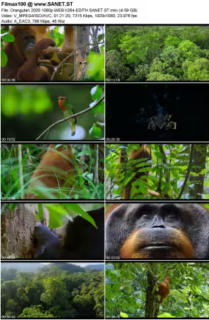 Orangutan 2026 1080p WEB h264-EDITH