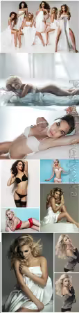Luxury women in lingerie posing stock photo vol 4