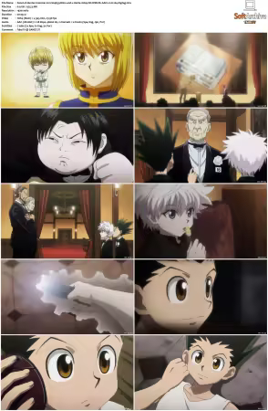 Hunter x Hunter 2011 S01-S06 1080p NF WEB-DL AAC2.0 H264-ZigZag
