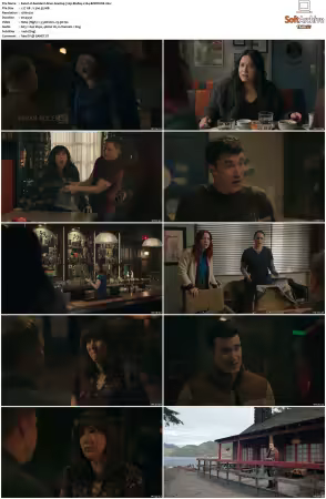 Resident Alien S04 720p BluRay x264-BORDURE