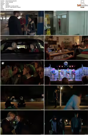 Please Like Me S01 S04 DVDRip XviD x264-Scene
