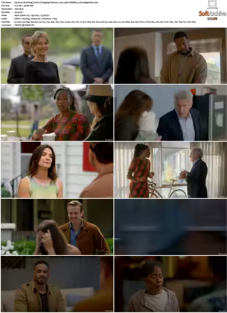 Shrinking S01 S03 720p 10bit WEBRip x265-budgetbits
