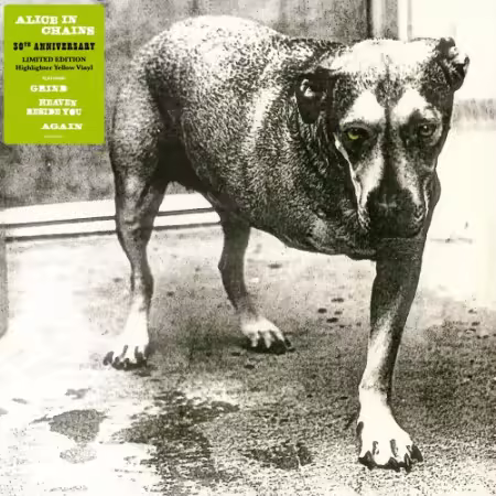 Alice In Chains - Alice In Chains (1995) {2026 30th Anniversary}