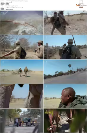 Walking with Elephants S01 540p x264-NGP