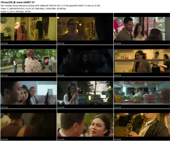 Catatan Harian Menantu Sinting 2024 1080p NF WEB-DL DD 5.1 H 264-playWEB