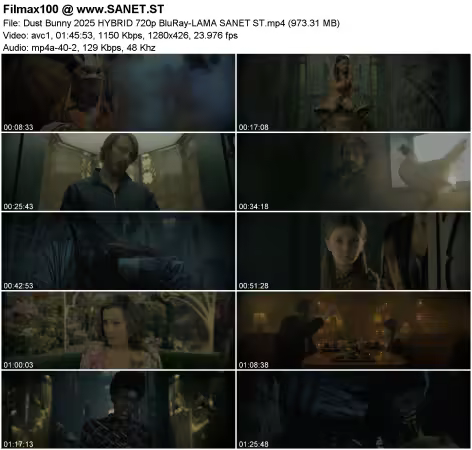 Dust Bunny 2025 HYBRID 720p BluRay-LAMA
