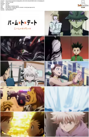 Hunter x Hunter 2011 S01-S06 1080p NF WEB-DL AAC2.0 H264-ZigZag