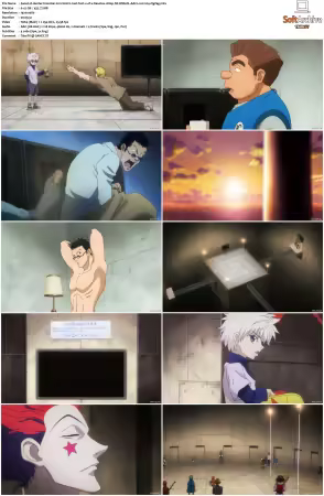 Hunter x Hunter 2011 S01-S06 1080p NF WEB-DL AAC2.0 H264-ZigZag