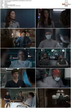 The Good Doctor S01-S07 720p WEBRip 2CH x265 HEVC-PSA