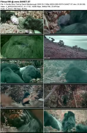 A Gorilla Story Told by David Attenborough 2026 DV 2160p WEB h265-EDITH