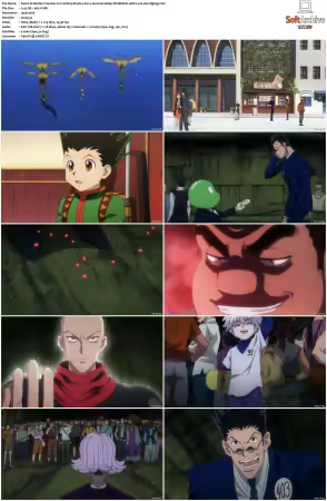 Hunter x Hunter 2011 S01-S06 1080p NF WEB-DL AAC2.0 H264-ZigZag