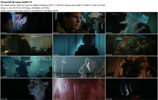 Blade Runner 1982 The Final Cut 1080p UHD Bluray OPUS 7.1 SDR AV1 WhiskeyJack