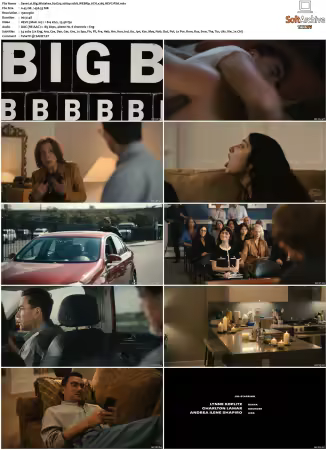 Big Mistakes S01 1080p 10bit WEBRip 6CH x265 HEVC-PSA