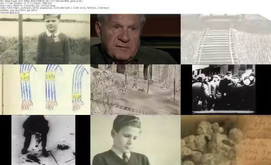 Misas Fugue 2012 1080p AMZN WEB-DL DD 2 0 H 264-playWEB