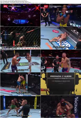 UFC 327 Early Prelims 1080p WEB-DL H264-FBB