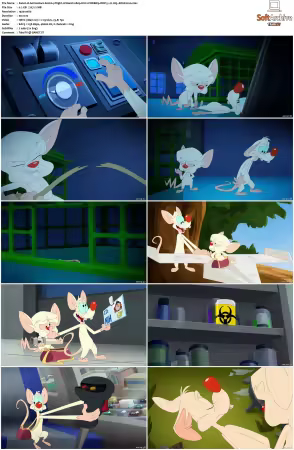 Animaniacs 2020 S01-S03 1080p HULU WEBRip DDP5.1 x265-EDGE2020