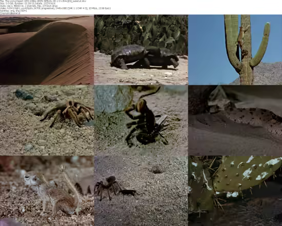 The Living Desert 1953 1080p AMZN WEB-DL DD 2 0 x264-QOQ