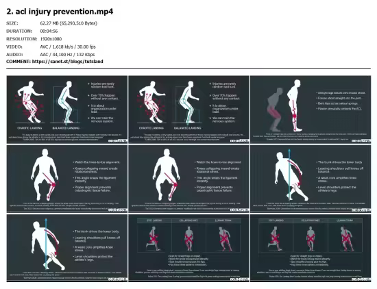 ACL Injury Prevention: Screen, Analyze &amp; Improve Movement