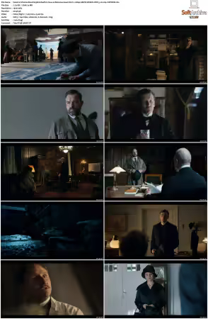 Vienna Blood S01 S04 1080p AMZN WEB-DL DDP 5.1 H264-CHDWEB