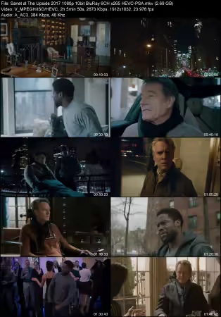 The Upside 2017 1080p 10bit BluRay 6CH x265 HEVC-PSA