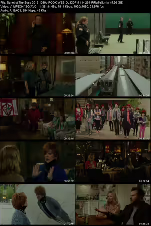 The Boss 2016 1080p PCOK WEB-DL DDP 5.1 H264-PiRaTeS