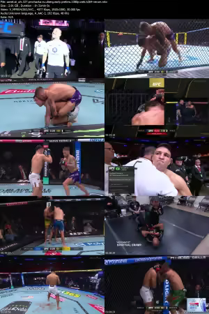 UFC 327 Prochazka vs Ulberg Early Prelims 1080p WEB h264-VERUM