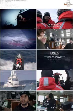 Whale Wars S02 1080p WEB-DL AAC2.0 AVC-TrollHD