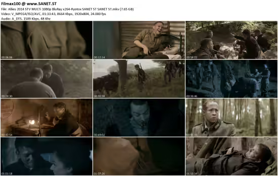 Allies 2014 STV MULTi 1080p BluRay x264-Ryotox