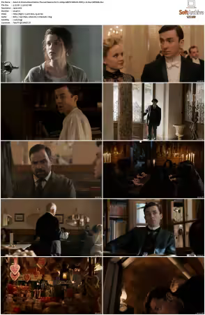 Vienna Blood S01 S04 1080p AMZN WEB-DL DDP 5.1 H264-CHDWEB