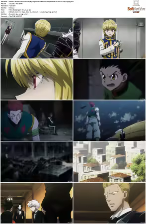 Hunter x Hunter 2011 S01-S06 1080p NF WEB-DL AAC2.0 H264-ZigZag