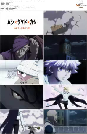 Hunter x Hunter 2011 S01-S06 1080p NF WEB-DL AAC2.0 H264-ZigZag