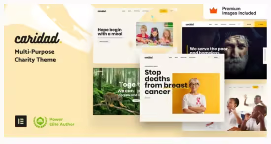 Themeforest - Caridad v43 - Charity WordPress 29896618