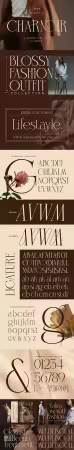Charnoir - Modern Elegant Luxury Serif Typeface