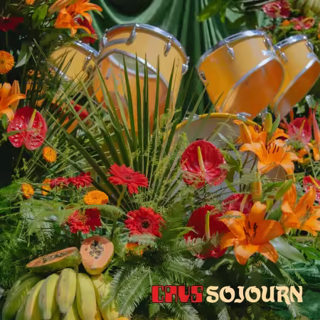CAVS - Sojourn (2026)