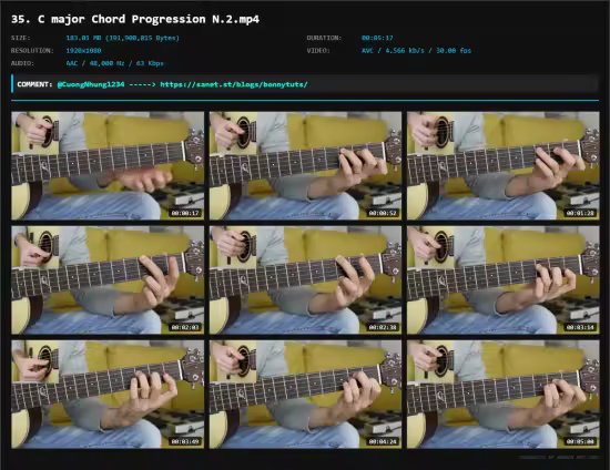 Acoustic Guitar System | Melodic Guitar Lessons for Beginner