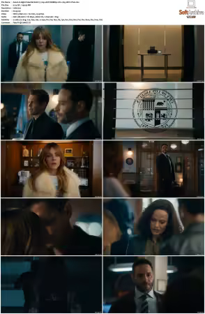 High Potential S02 RERIP 720p 10bit WEBRip 2CH x265 HEVC-PSA