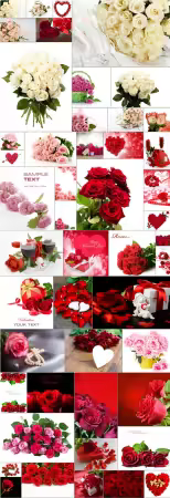 Roses, flowers - 50 stock photo collection