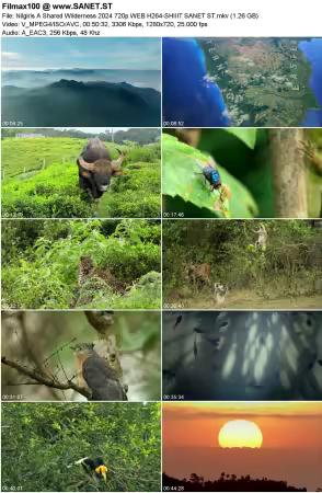 Nilgiris A Shared Wilderness 2024 720p WEB H264-SHIIIT