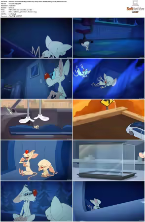 Animaniacs 2020 S01 S03 1080p HULU WEBRip DDP5 1 x265-EDGE2020