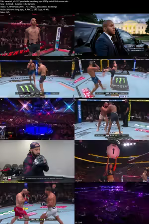 UFC 327 Prochazka vs Ulberg PPV 1080p WEB h264-VERUM