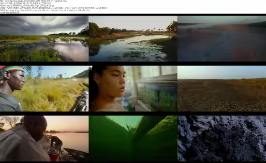 Into the Okavango 2018 1080p WEB H264-SHIIIT
