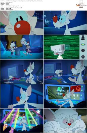 Animaniacs 2020 S01-S03 1080p HULU WEBRip DDP5.1 x265-EDGE2020