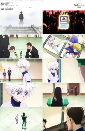 Hunter x Hunter 2011 S01-S06 1080p NF WEB-DL AAC2.0 H264-ZigZag