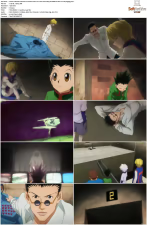 Hunter x Hunter 2011 S01-S06 1080p NF WEB-DL AAC2.0 H264-ZigZag