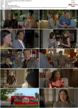 Shrinking S01 S03 720p 10bit WEBRip x265-budgetbits