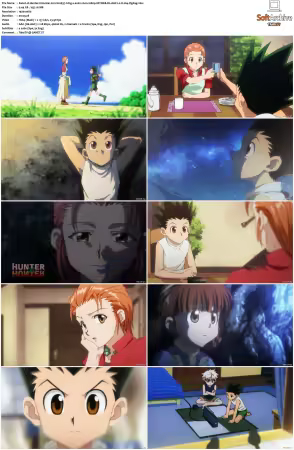 Hunter x Hunter 2011 S01-S06 1080p NF WEB-DL AAC2.0 H264-ZigZag
